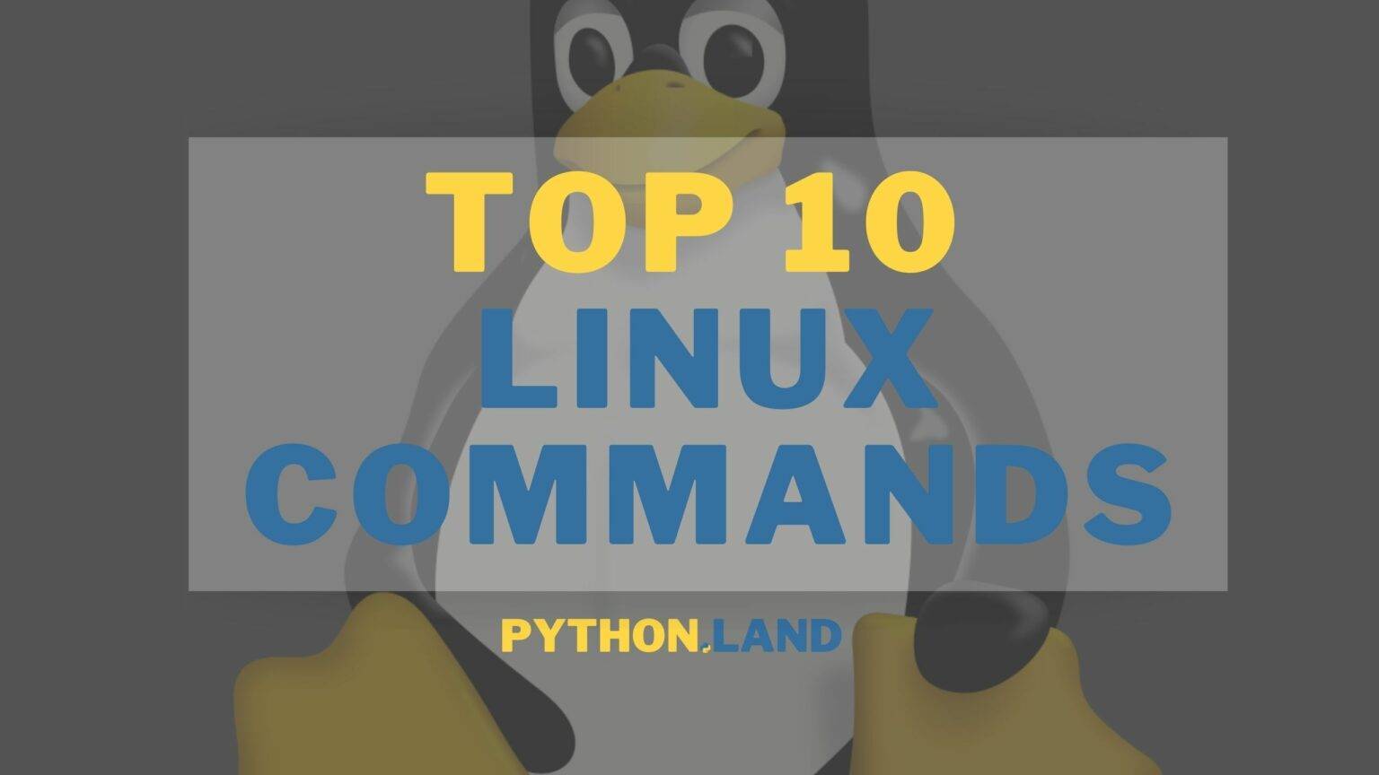 Linux Commands: 10 Commands You Must Know By Heart • Python Land Tutorial