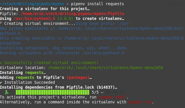 Python Pipenv