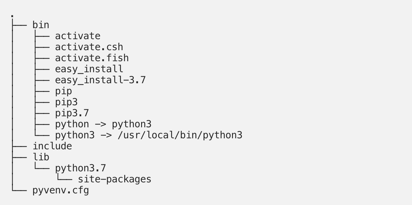A Python venv directory tree