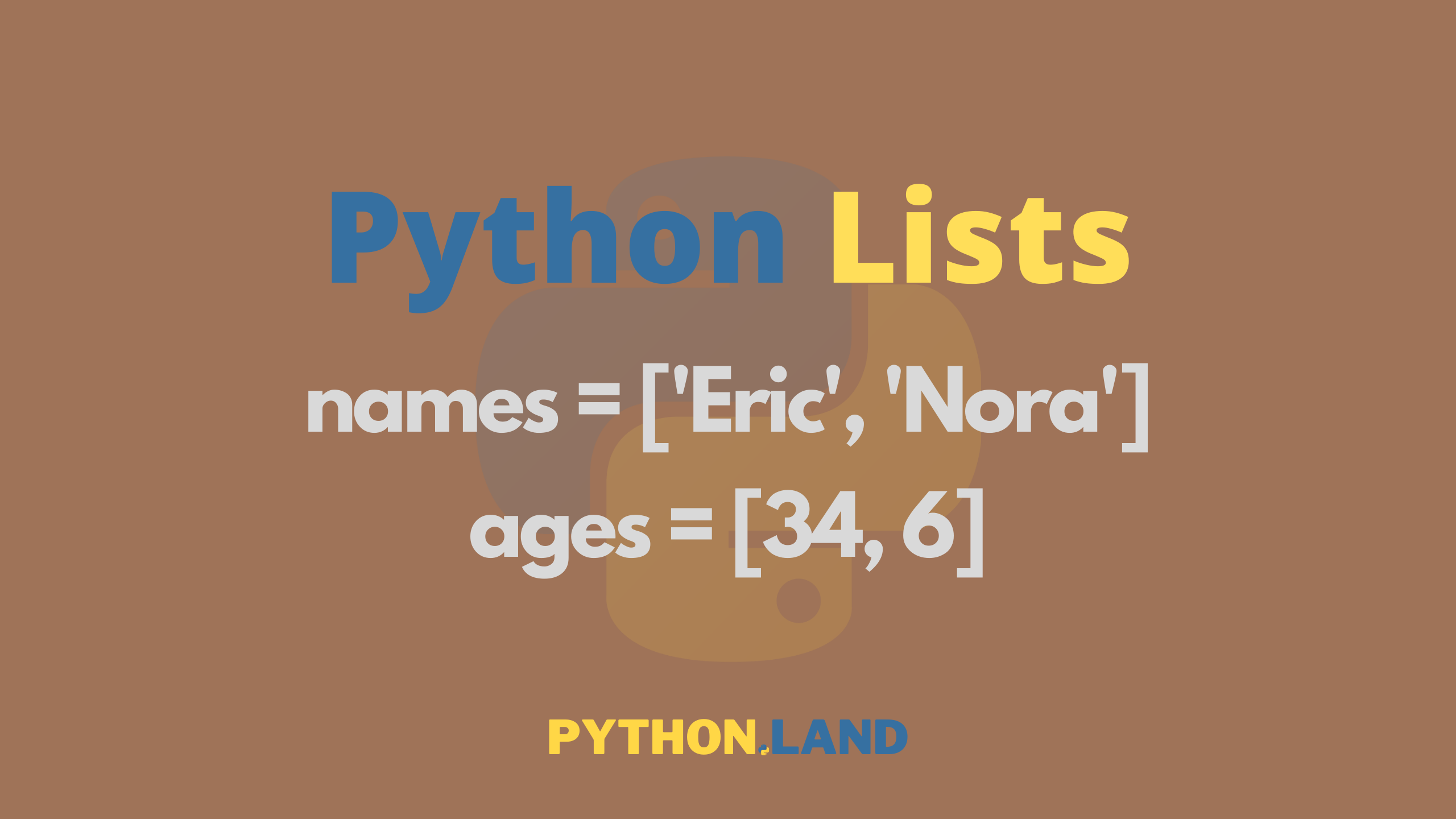 python list