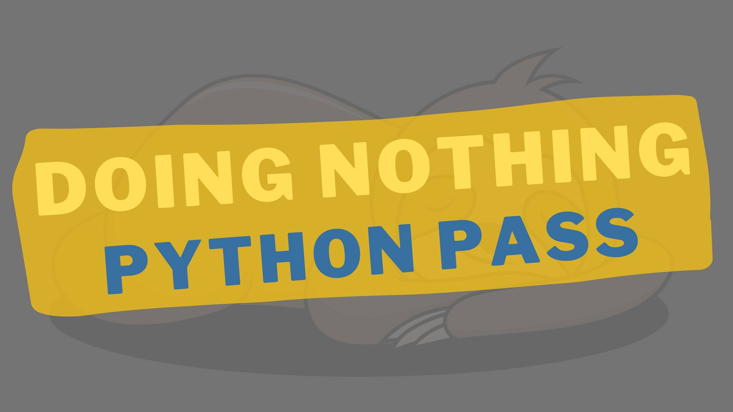 Python pass (Do Nothing): When And How To Use